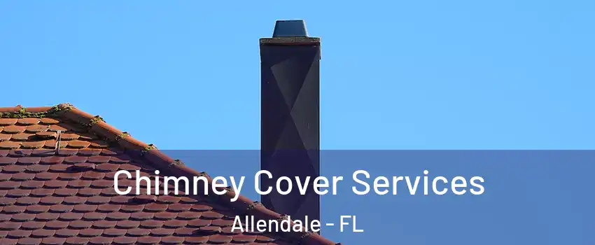 Chimney Cover Services Allendale - FL