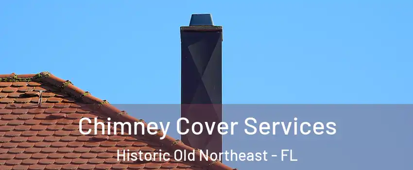 Chimney Cover Services Historic Old Northeast - FL