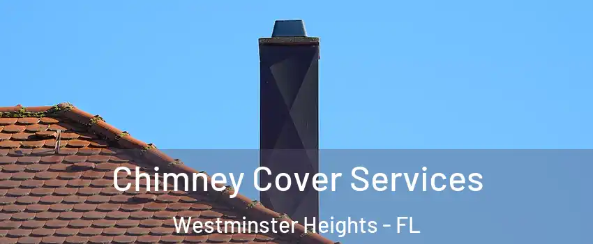 Chimney Cover Services Westminster Heights - FL