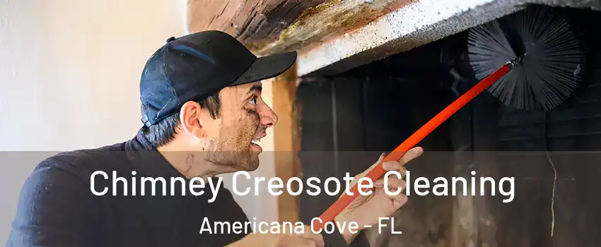 Chimney Creosote Cleaning Americana Cove - FL