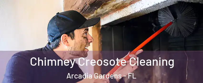 Chimney Creosote Cleaning Arcadia Gardens - FL