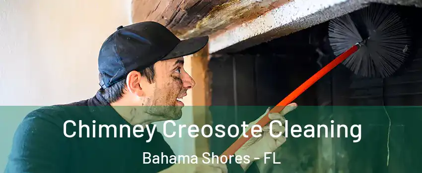 Chimney Creosote Cleaning Bahama Shores - FL