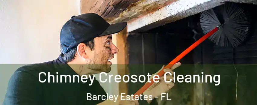 Chimney Creosote Cleaning Barcley Estates - FL
