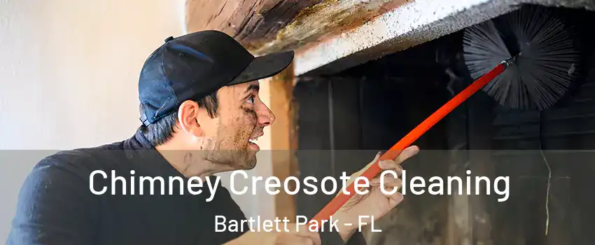 Chimney Creosote Cleaning Bartlett Park - FL
