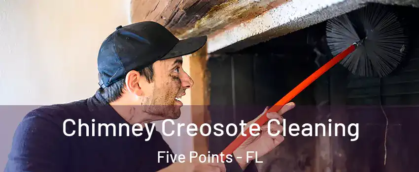 Chimney Creosote Cleaning Five Points - FL