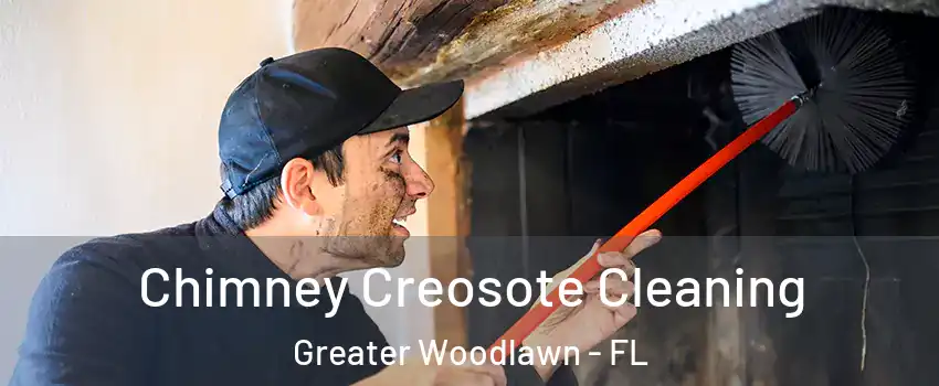 Chimney Creosote Cleaning Greater Woodlawn - FL