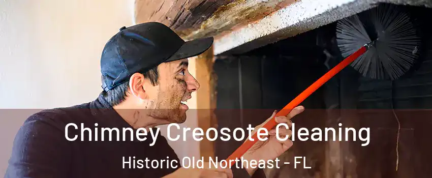 Chimney Creosote Cleaning Historic Old Northeast - FL