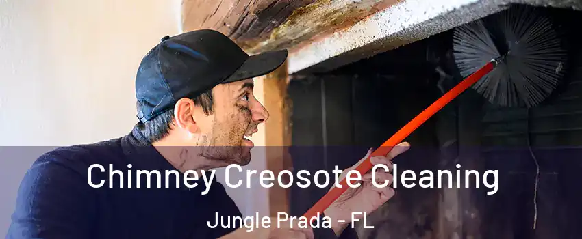 Chimney Creosote Cleaning Jungle Prada - FL