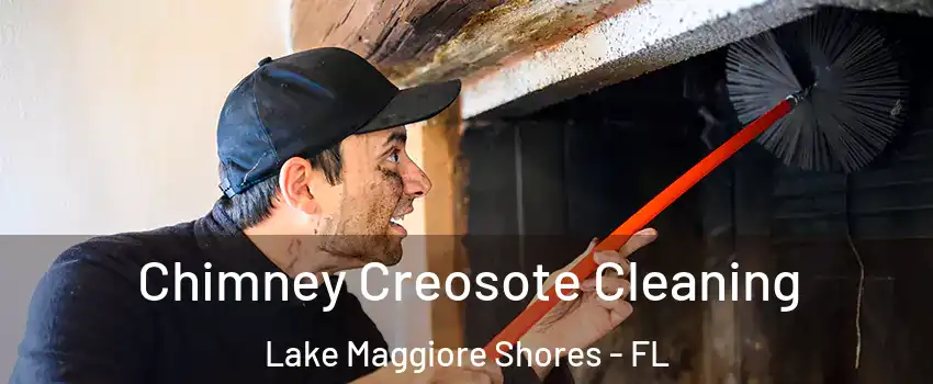 Chimney Creosote Cleaning Lake Maggiore Shores - FL