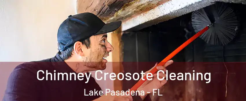 Chimney Creosote Cleaning Lake Pasadena - FL