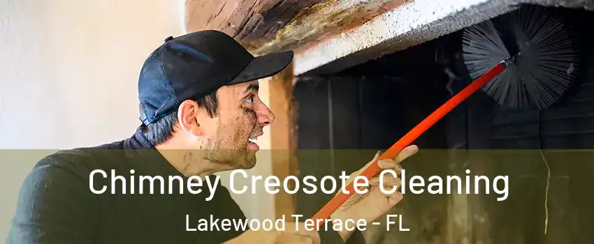Chimney Creosote Cleaning Lakewood Terrace - FL