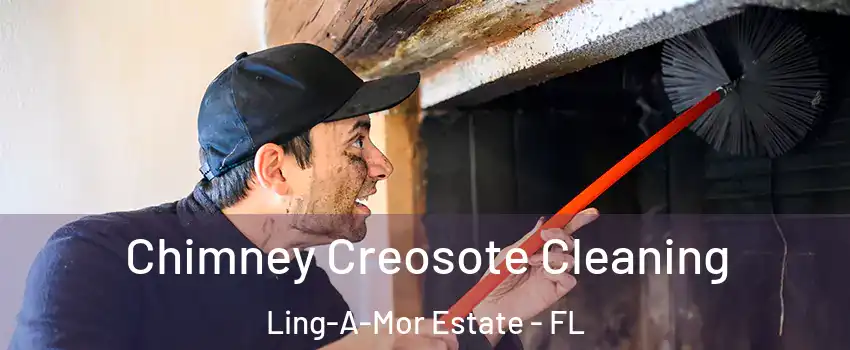 Chimney Creosote Cleaning Ling-A-Mor Estate - FL