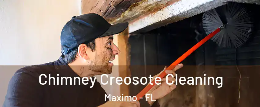 Chimney Creosote Cleaning Maximo - FL