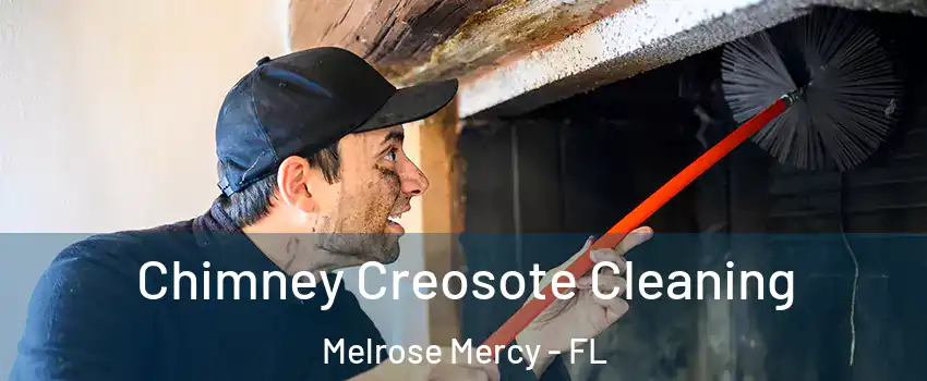 Chimney Creosote Cleaning Melrose Mercy - FL