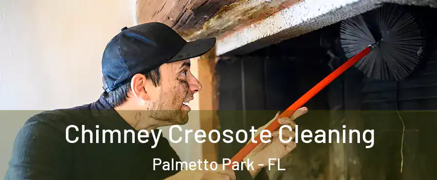 Chimney Creosote Cleaning Palmetto Park - FL