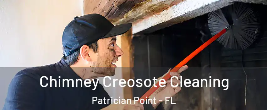 Chimney Creosote Cleaning Patrician Point - FL
