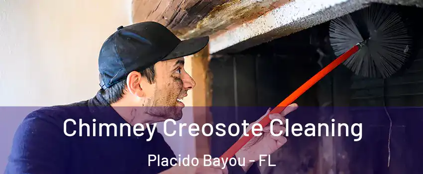 Chimney Creosote Cleaning Placido Bayou - FL