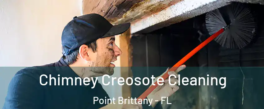 Chimney Creosote Cleaning Point Brittany - FL