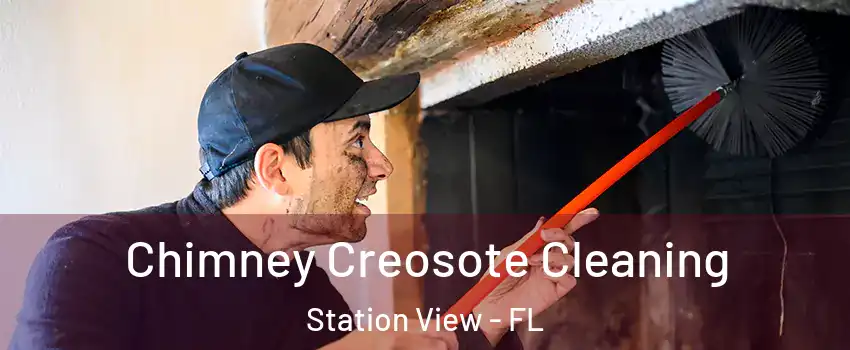 Chimney Creosote Cleaning Station View - FL