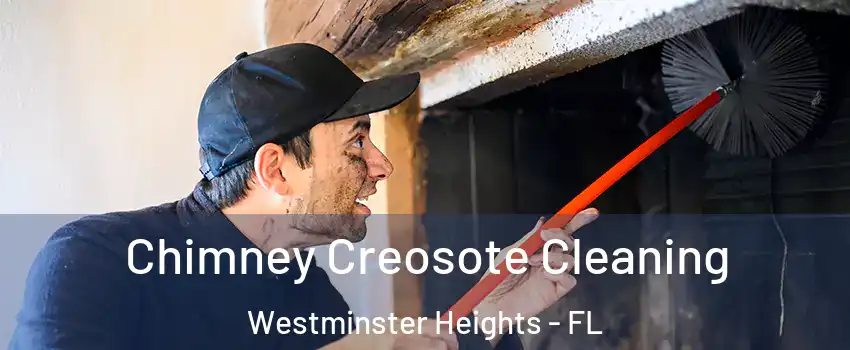 Chimney Creosote Cleaning Westminster Heights - FL