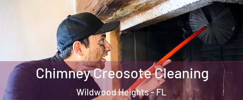 Chimney Creosote Cleaning Wildwood Heights - FL