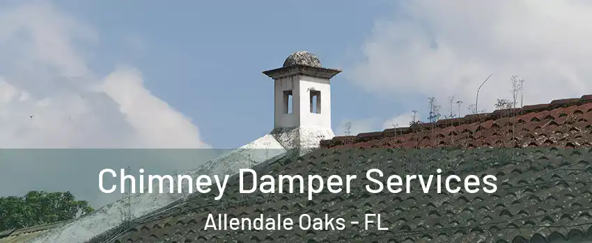 Chimney Damper Services Allendale Oaks - FL