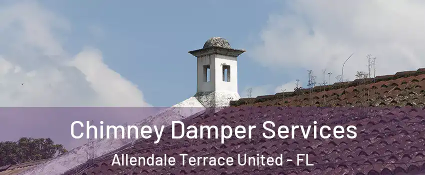 Chimney Damper Services Allendale Terrace United - FL