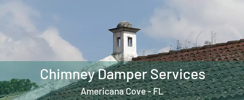 Chimney Damper Services Americana Cove - FL