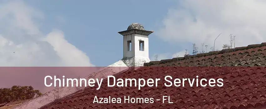Chimney Damper Services Azalea Homes - FL
