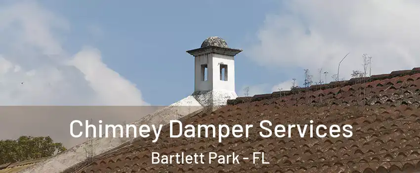Chimney Damper Services Bartlett Park - FL