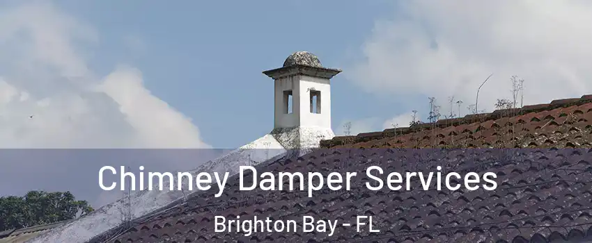 Chimney Damper Services Brighton Bay - FL