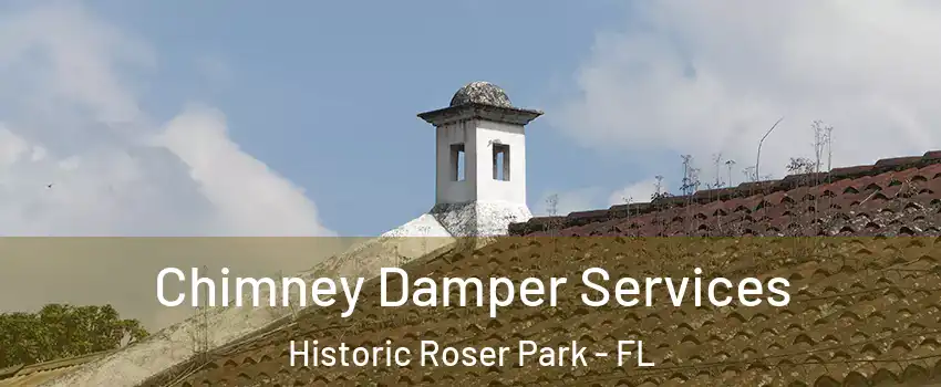 Chimney Damper Services Historic Roser Park - FL