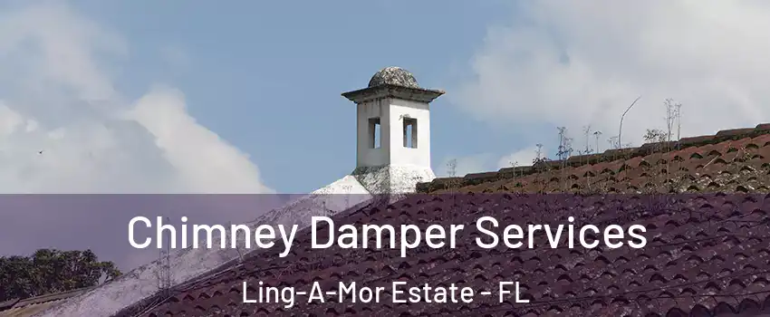 Chimney Damper Services Ling-A-Mor Estate - FL