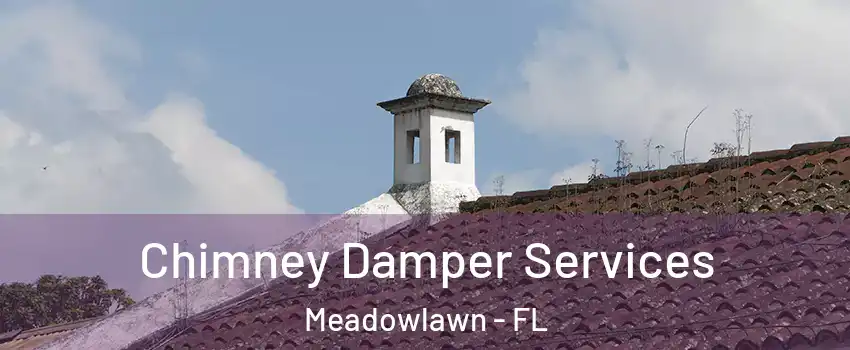 Chimney Damper Services Meadowlawn - FL