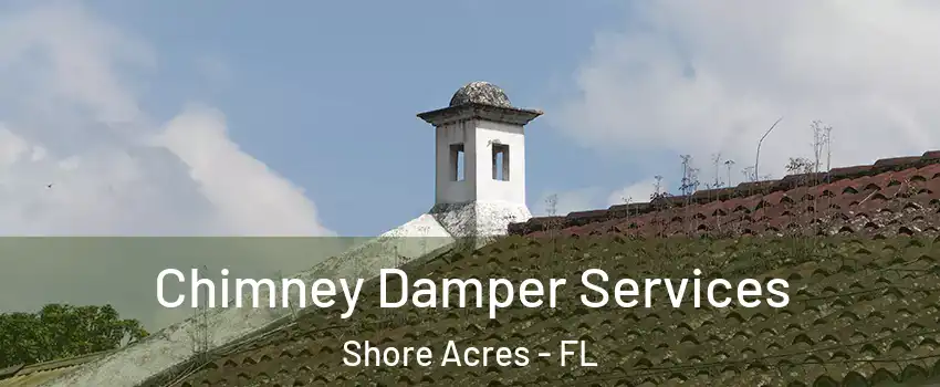 Chimney Damper Services Shore Acres - FL