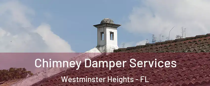 Chimney Damper Services Westminster Heights - FL