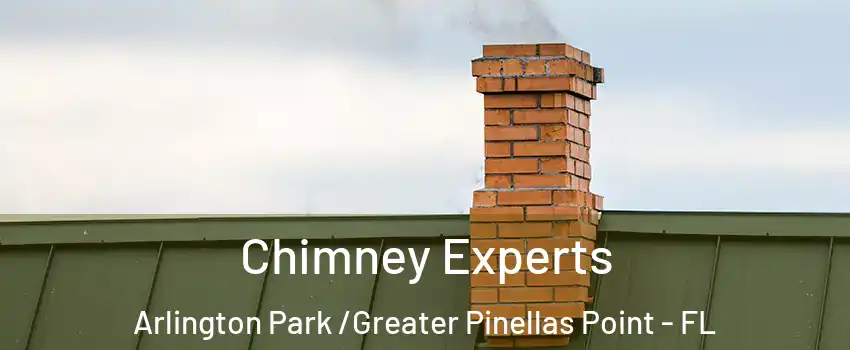 Chimney Experts Arlington Park /Greater Pinellas Point - FL