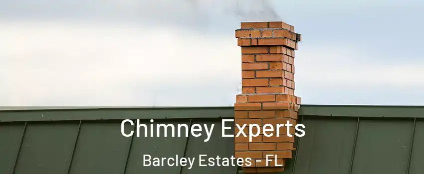 Chimney Experts Barcley Estates - FL