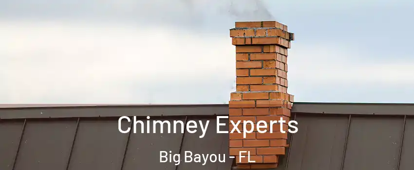 Chimney Experts Big Bayou - FL