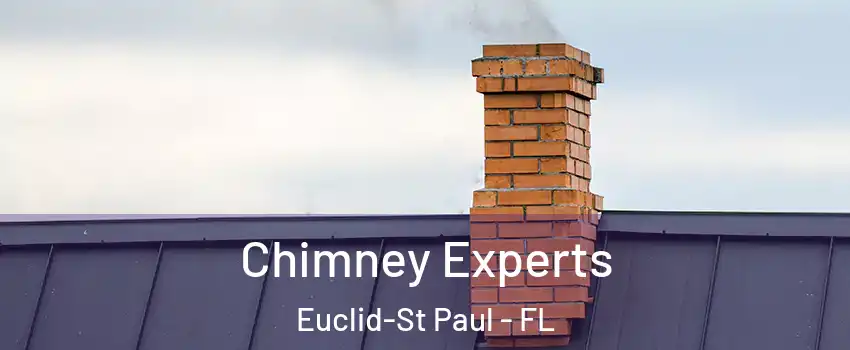 Chimney Experts Euclid-St Paul - FL