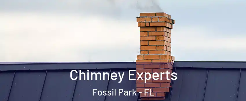 Chimney Experts Fossil Park - FL