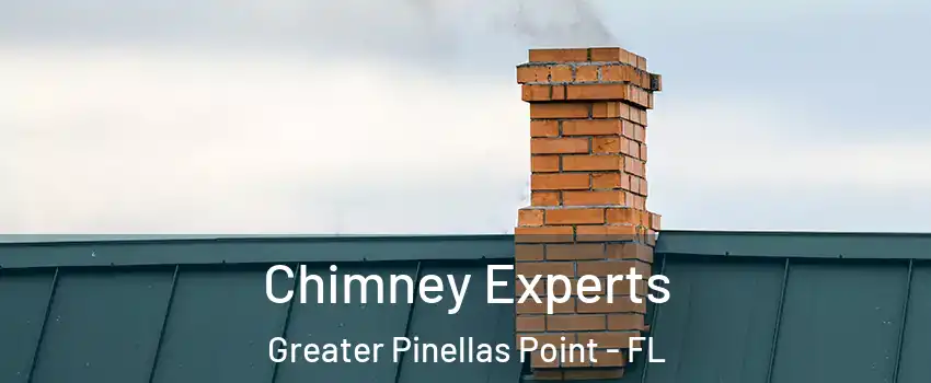 Chimney Experts Greater Pinellas Point - FL