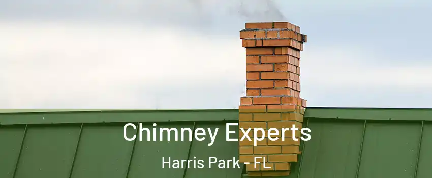 Chimney Experts Harris Park - FL