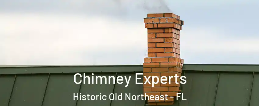 Chimney Experts Historic Old Northeast - FL