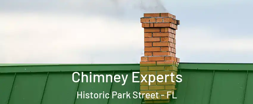 Chimney Experts Historic Park Street - FL