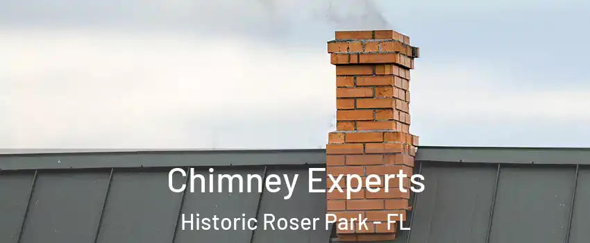 Chimney Experts Historic Roser Park - FL