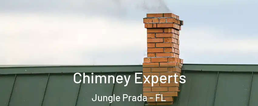 Chimney Experts Jungle Prada - FL
