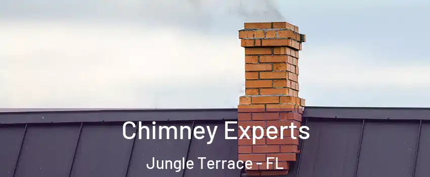 Chimney Experts Jungle Terrace - FL