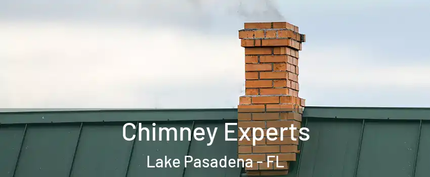 Chimney Experts Lake Pasadena - FL