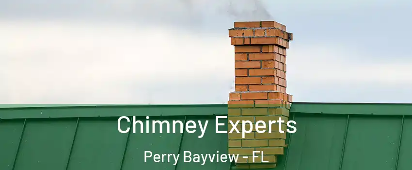 Chimney Experts Perry Bayview - FL